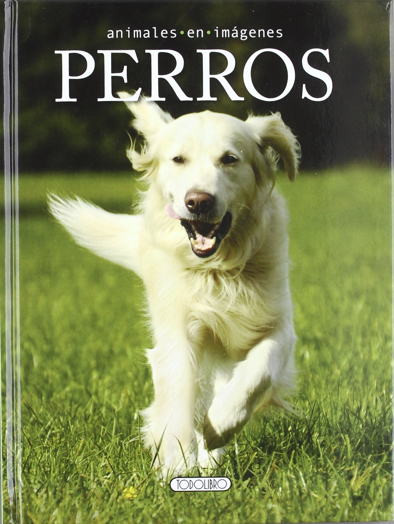 Perros (Animales en imágenes) Learning & Reference