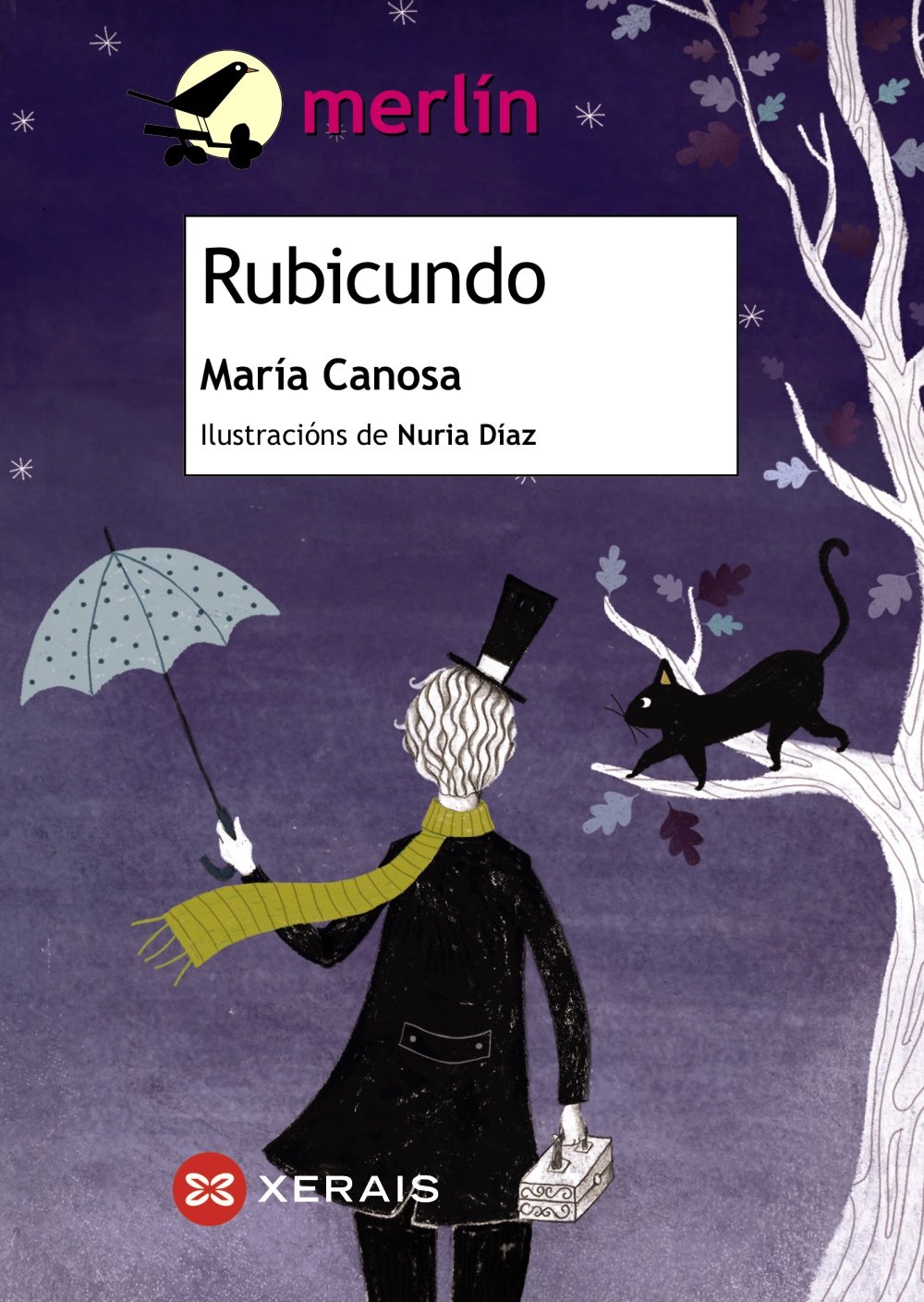Rubicundo (INFANTIL E XUVENIL - MERLÍN - De 9 anos en diante) Social Sciences