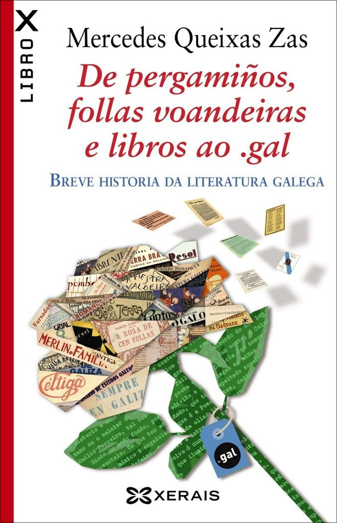 De pergamiños, follas voandeiras e libros ao .gal: Breve historia da literatura galega book