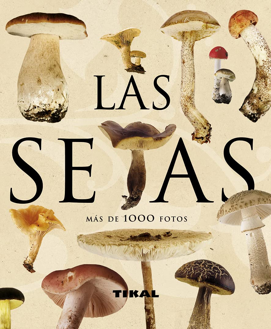 Setas (Enciclopedia Universal) Business & Technology