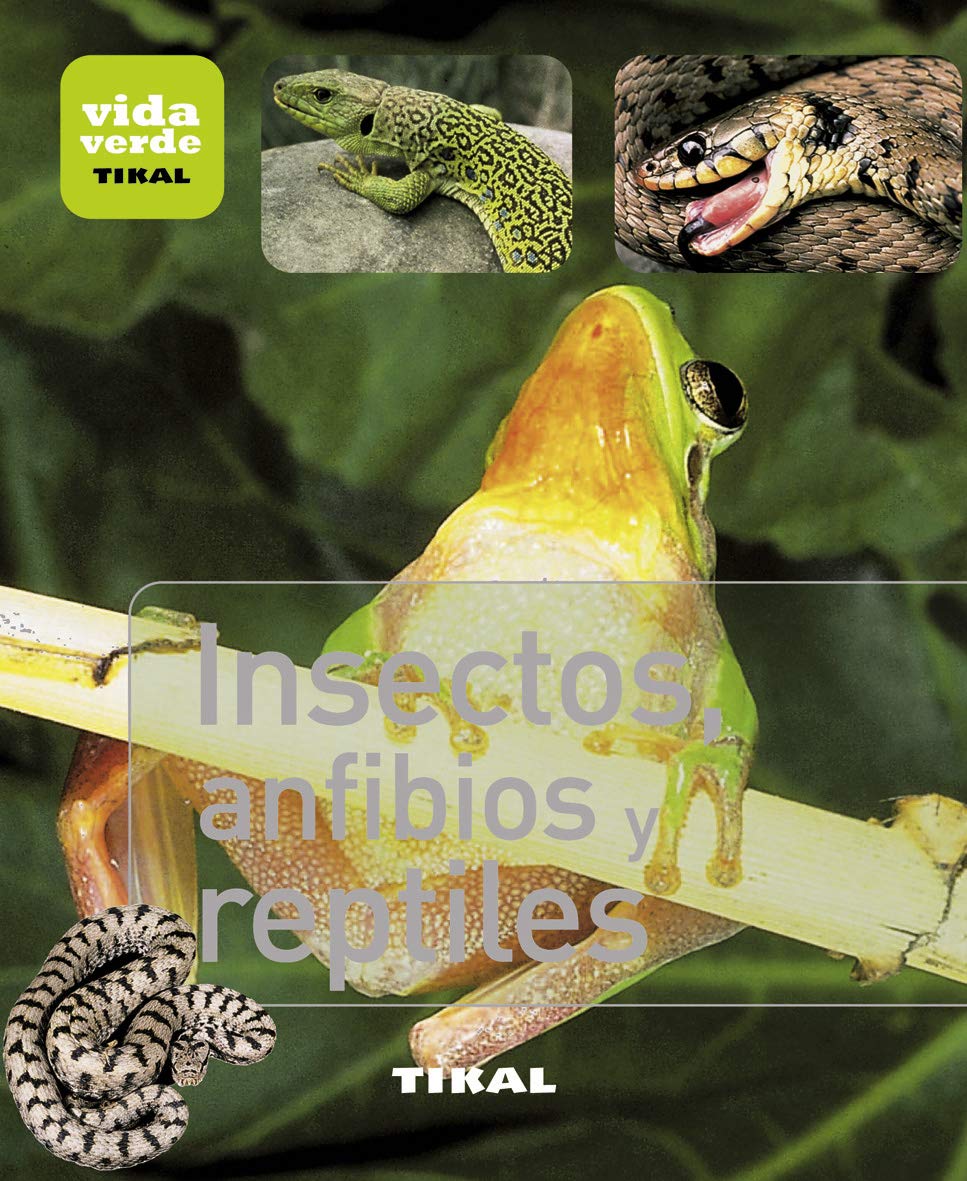 Insectos, anfibios y reptiles Mathematics Books