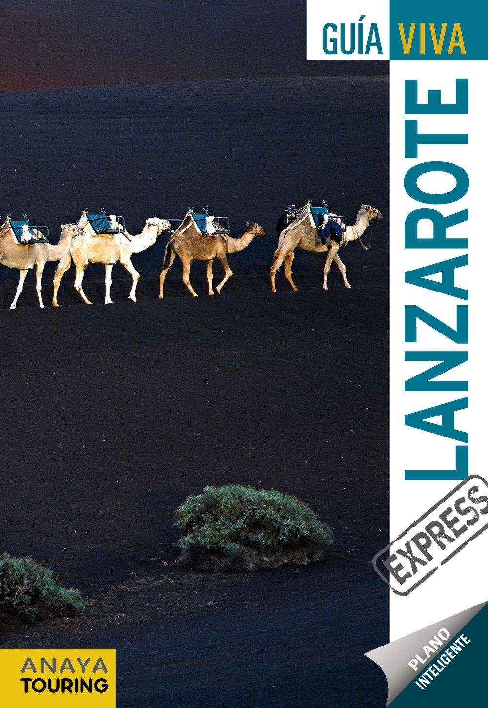 Lanzarote (Guía Viva Express - España) Leisure, Home & Garden