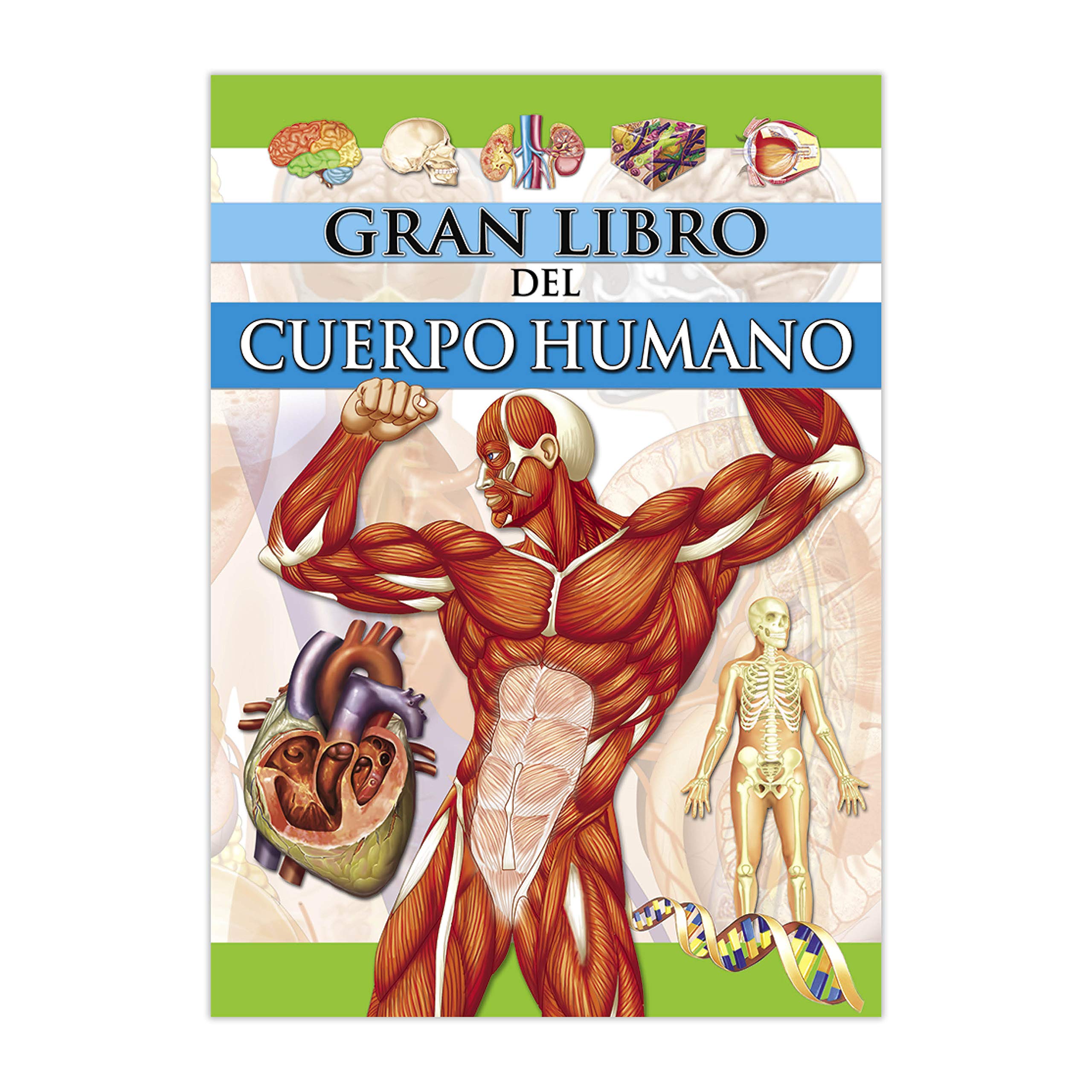 El gran libro del cuerpo humano Learning & Reference