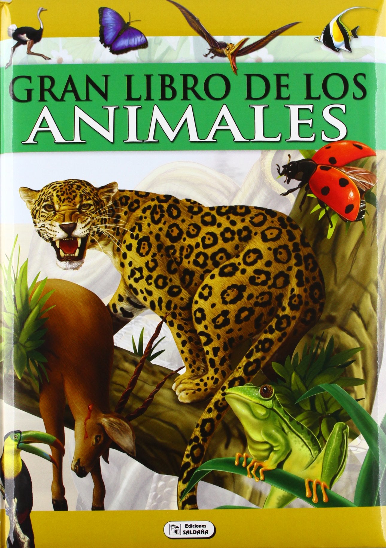 El gran libro del mundo animal Learning & Reference