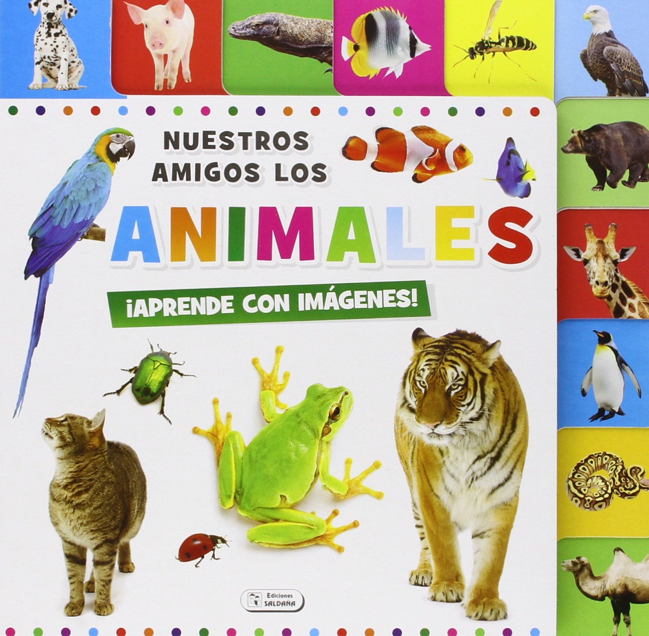 DESCUBRO CON IMÁGENES - ANIMALES Books