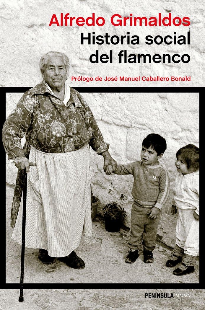 Historia social del flamenco: Prólogo de José Manuel Caballero Bonald (ATALAYA) Social Sciences