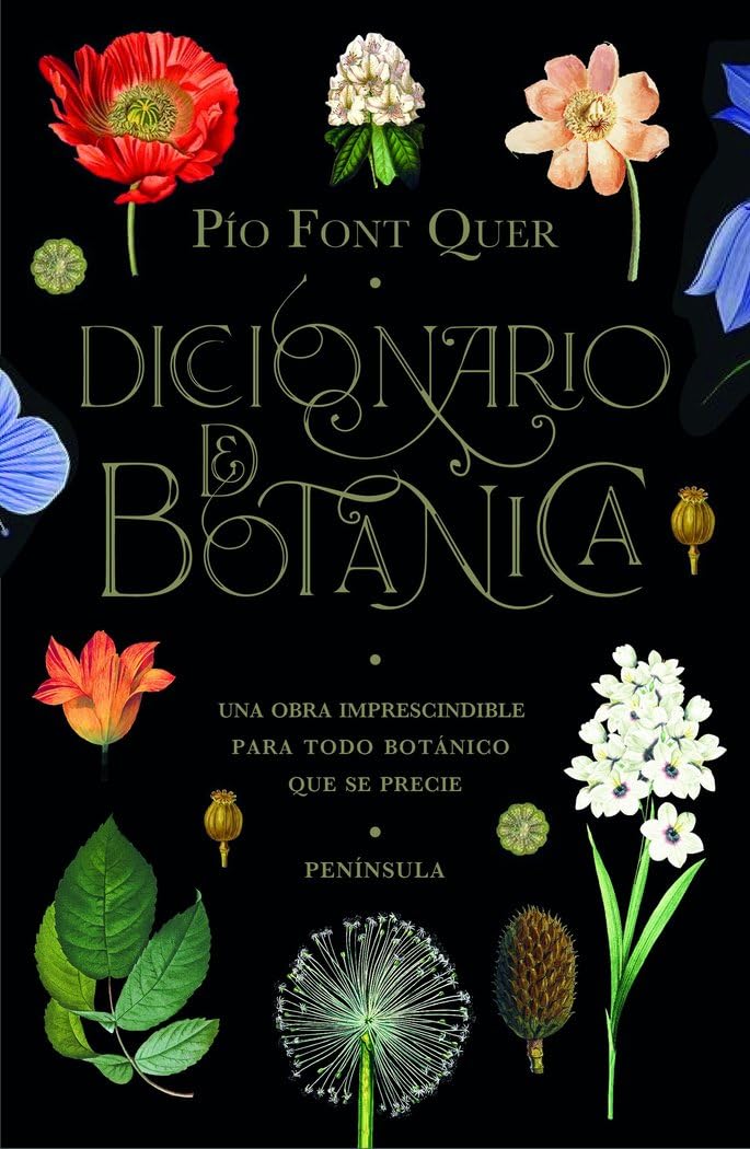 Diccionario de botánica: Una obra imprescindible para todo botánico que se precie book