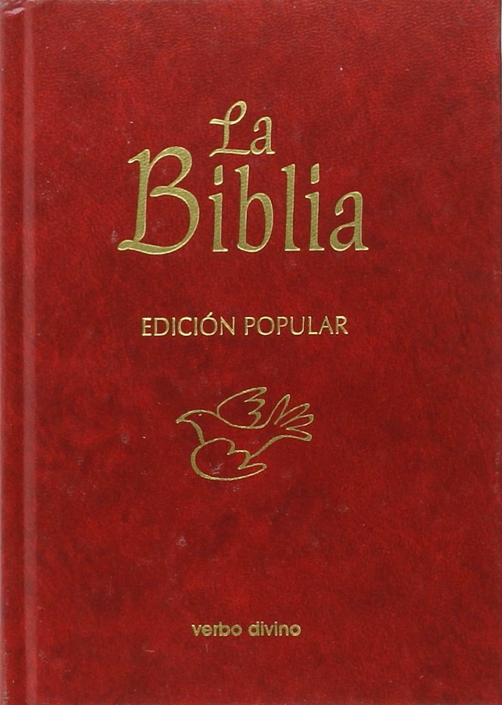 La Biblia: (cubierta cartoné) (La Biblia (Texto "La Casa de la Biblia")) Religion & Esotericism