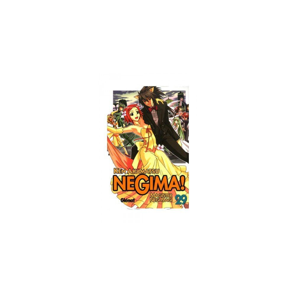Negima! Magister Negi Magi 29 (Shonen Manga) Manga