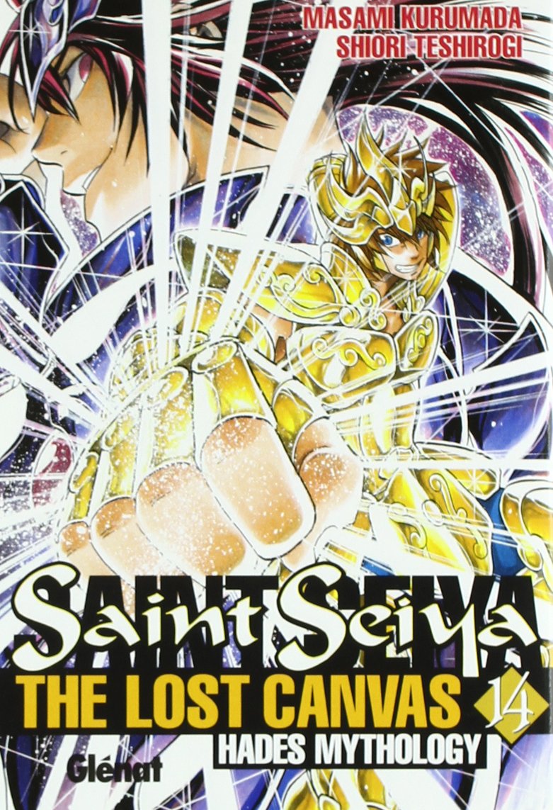 Saint Seiya Lost Canvas Hades 14 book