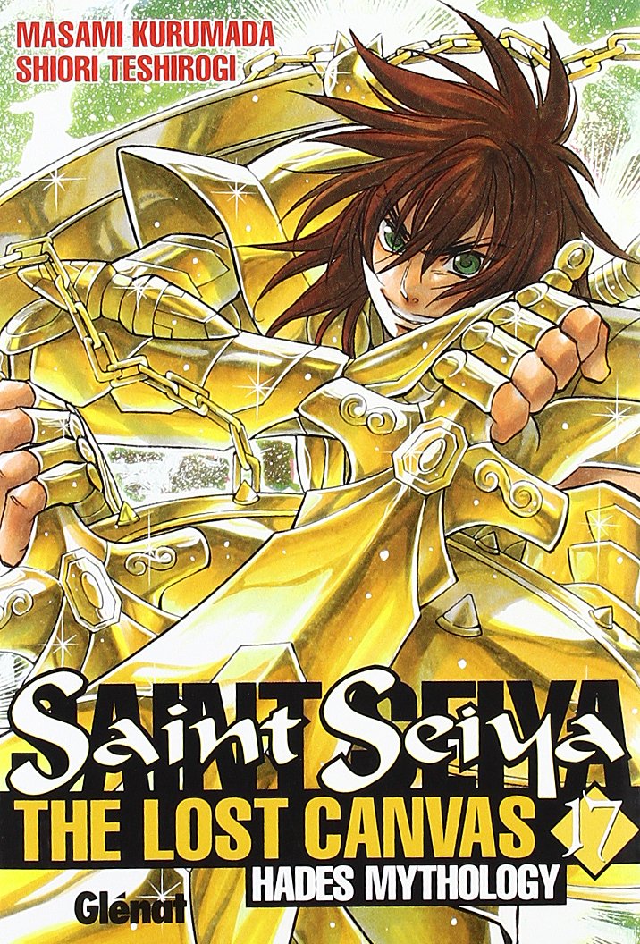 Saint Seiya Lost Canvas Hades 17 book