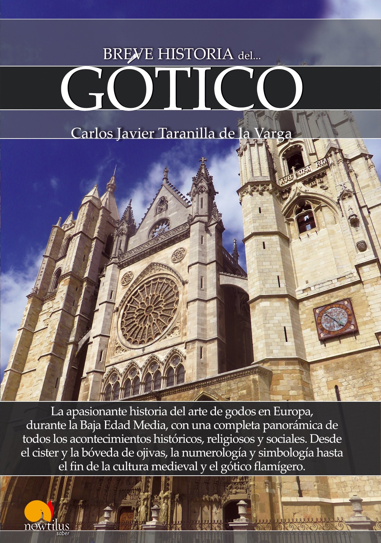 Breve historia del Gótico book