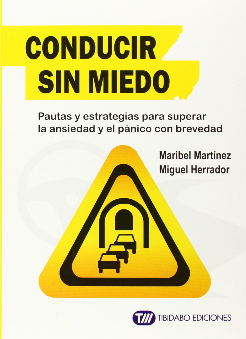 Conducir sin miedo : pautas y estrategias para superar la ansiedad y el pánico con brevedad (Sentirse bien) Books