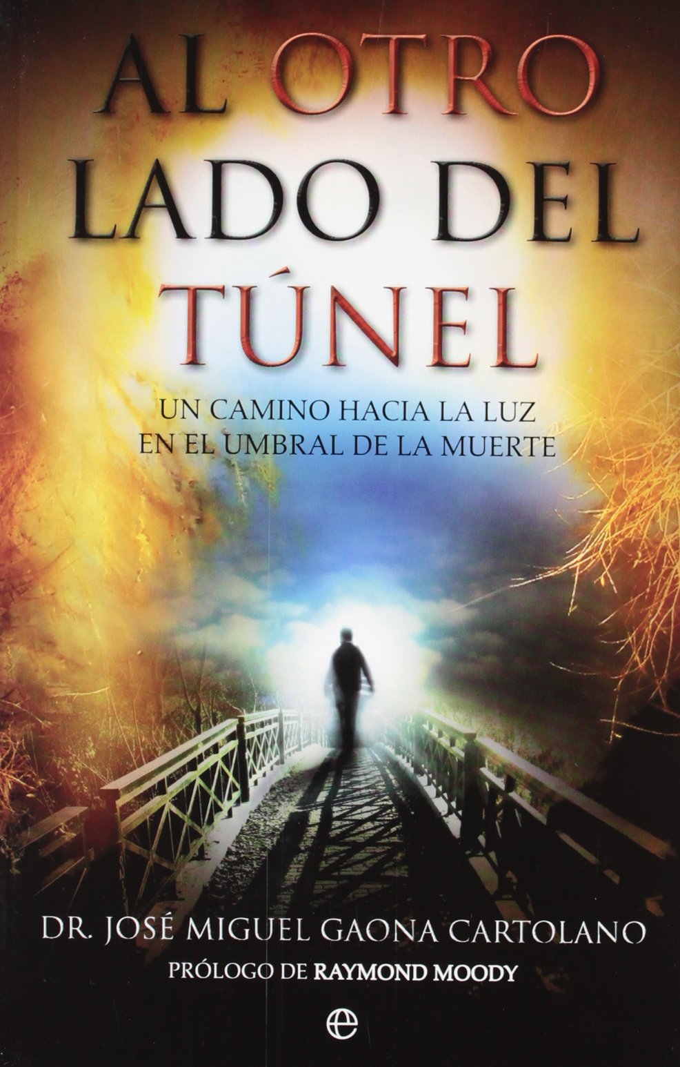 Al otro lado del túnel : un camino hacia la luz en el umbral de la muerte book