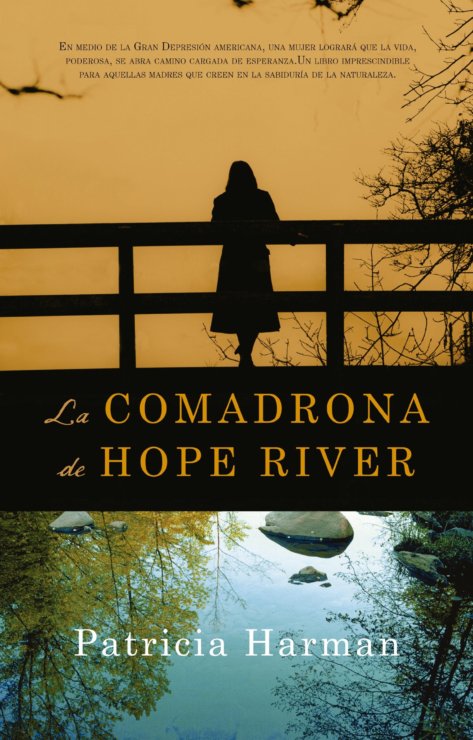 La comadrona de Hope Driver Contemporary literature Books