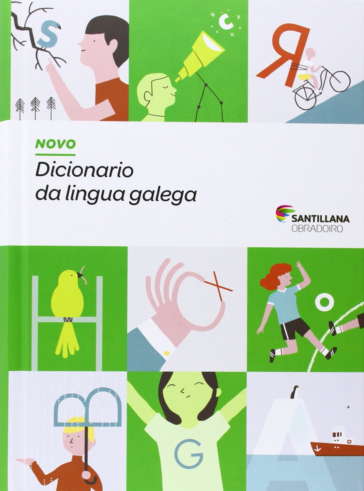 NOVO DICCIONARIO DA LINGUA GALEGA book