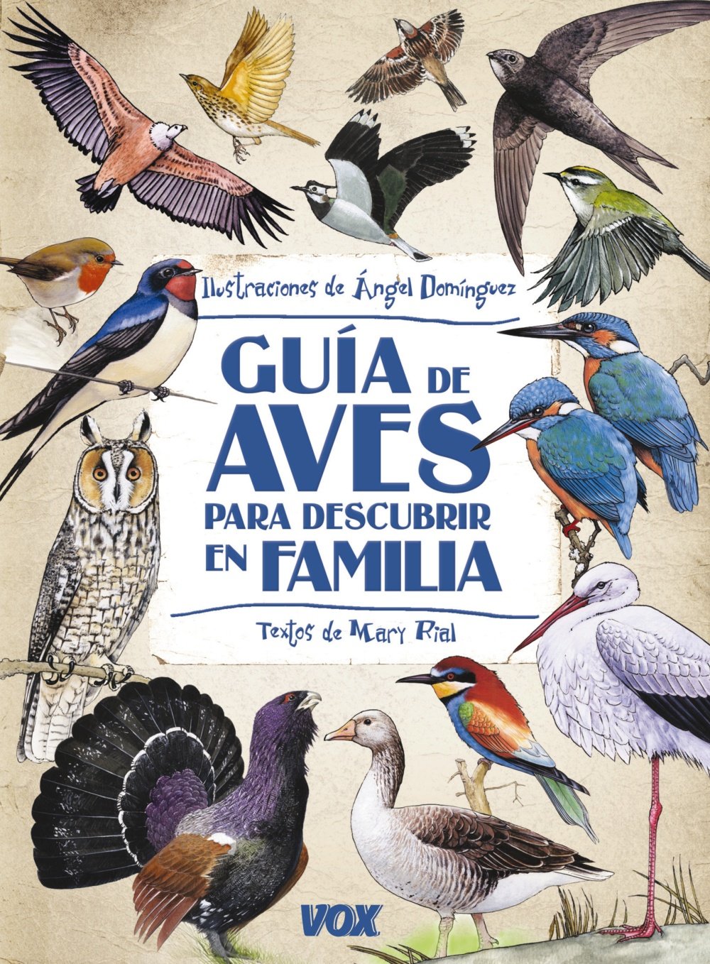 Guía de aves para descubrir en familia (Vox - Infantil / Juvenil - Castellano - A Partir De 5/6 Años - Guías De Campo) Non-fiction