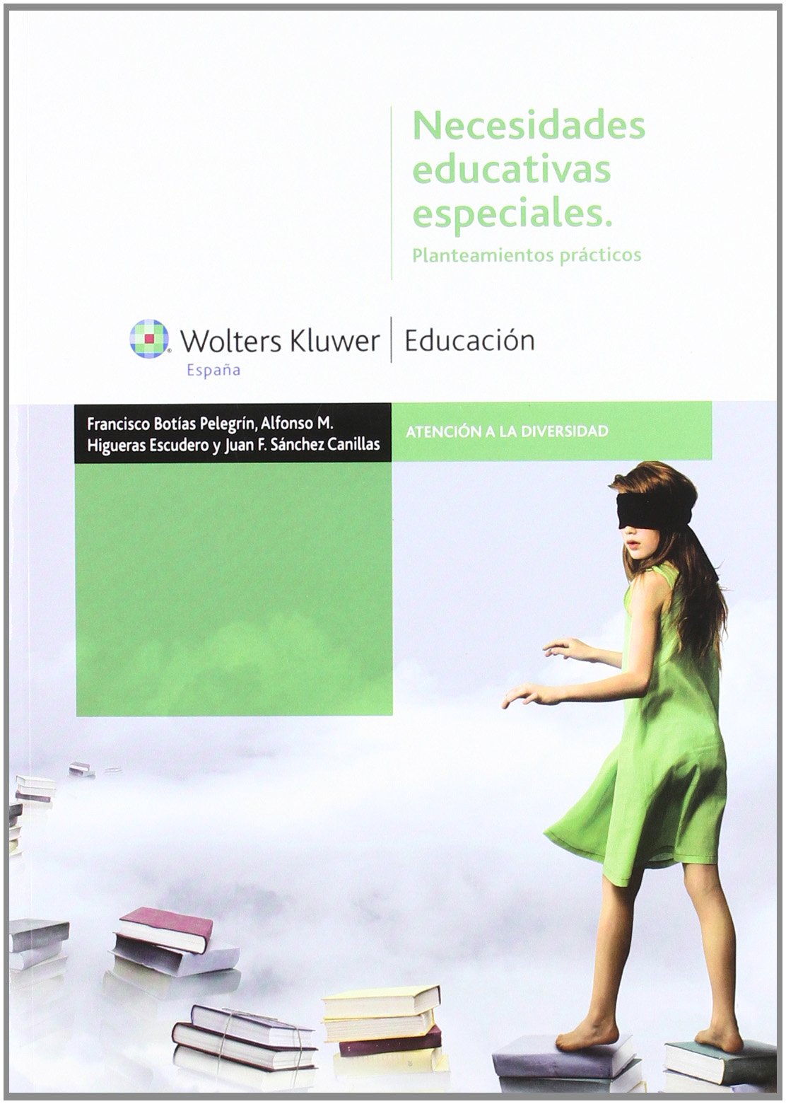 Necesidades educativas especiales: planteamientos prácticos book