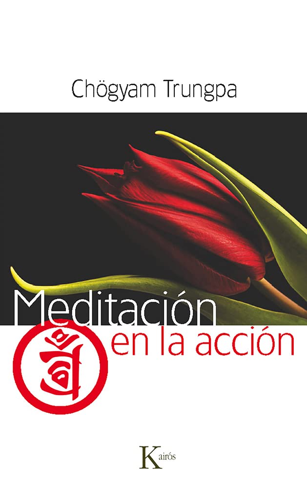 Meditación en la acción book