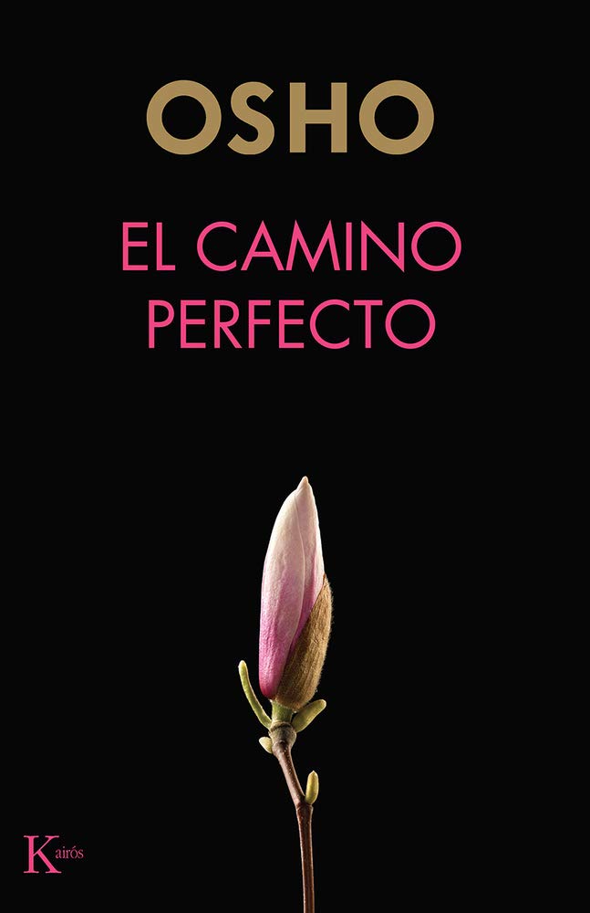 El Camino Perfecto book