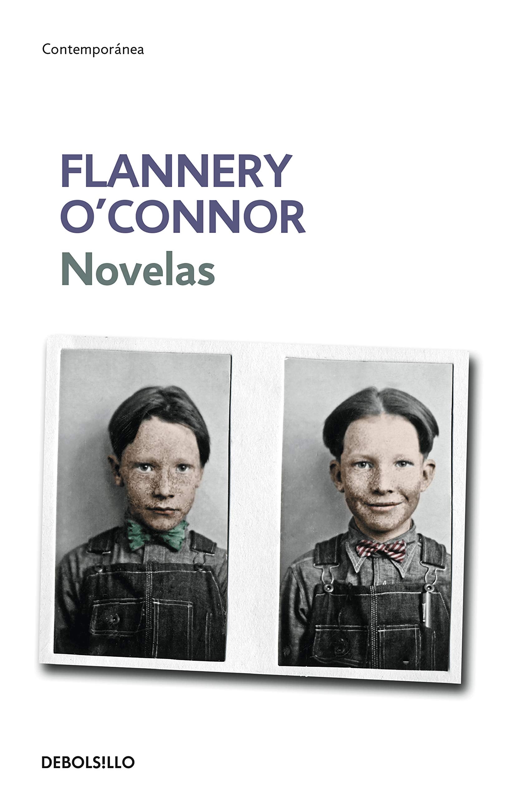 Flannery O'Connor / The Violent Bear It Away book