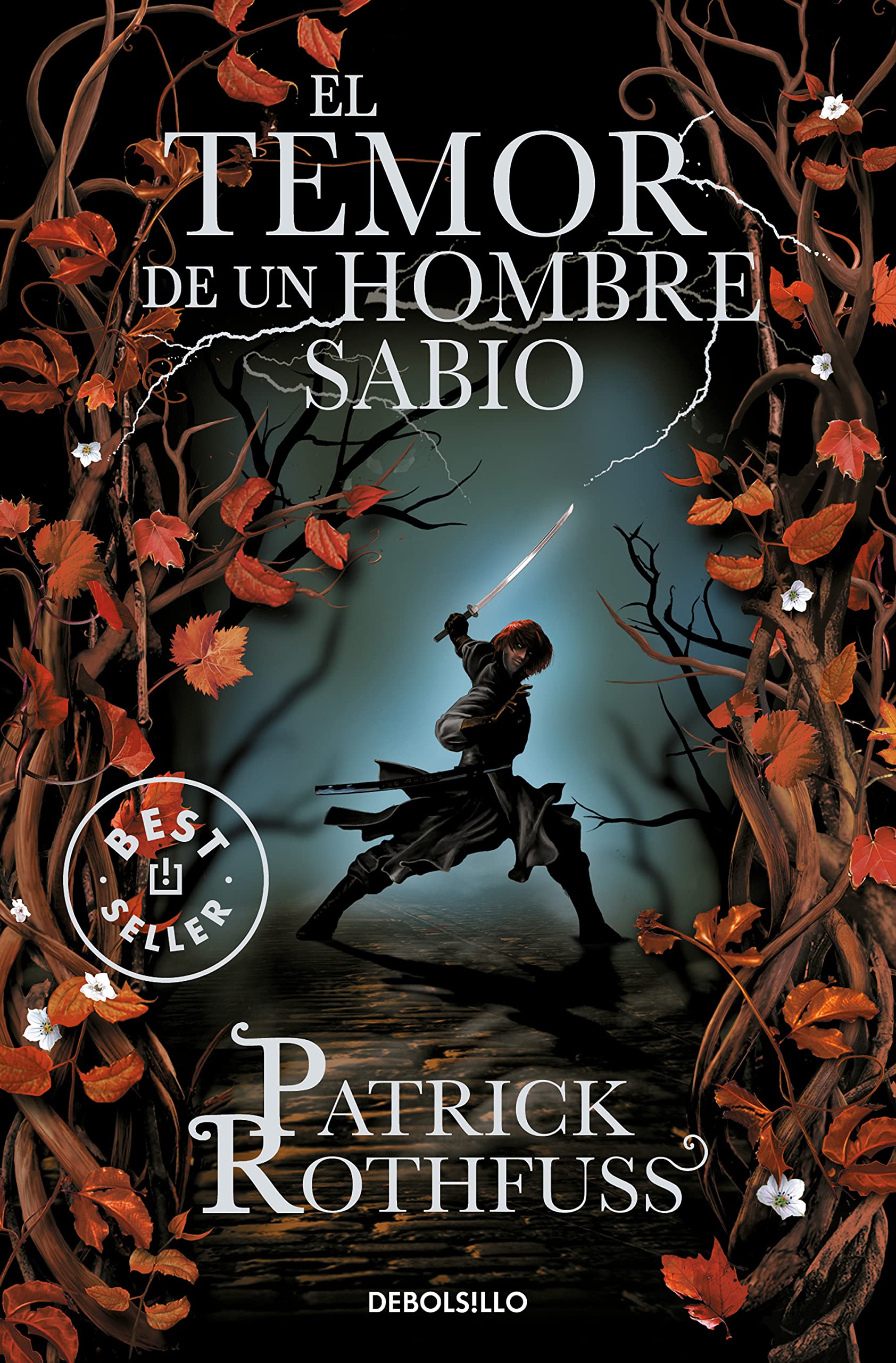 El temor de un hombre sabio / The Wise Man's Fear book