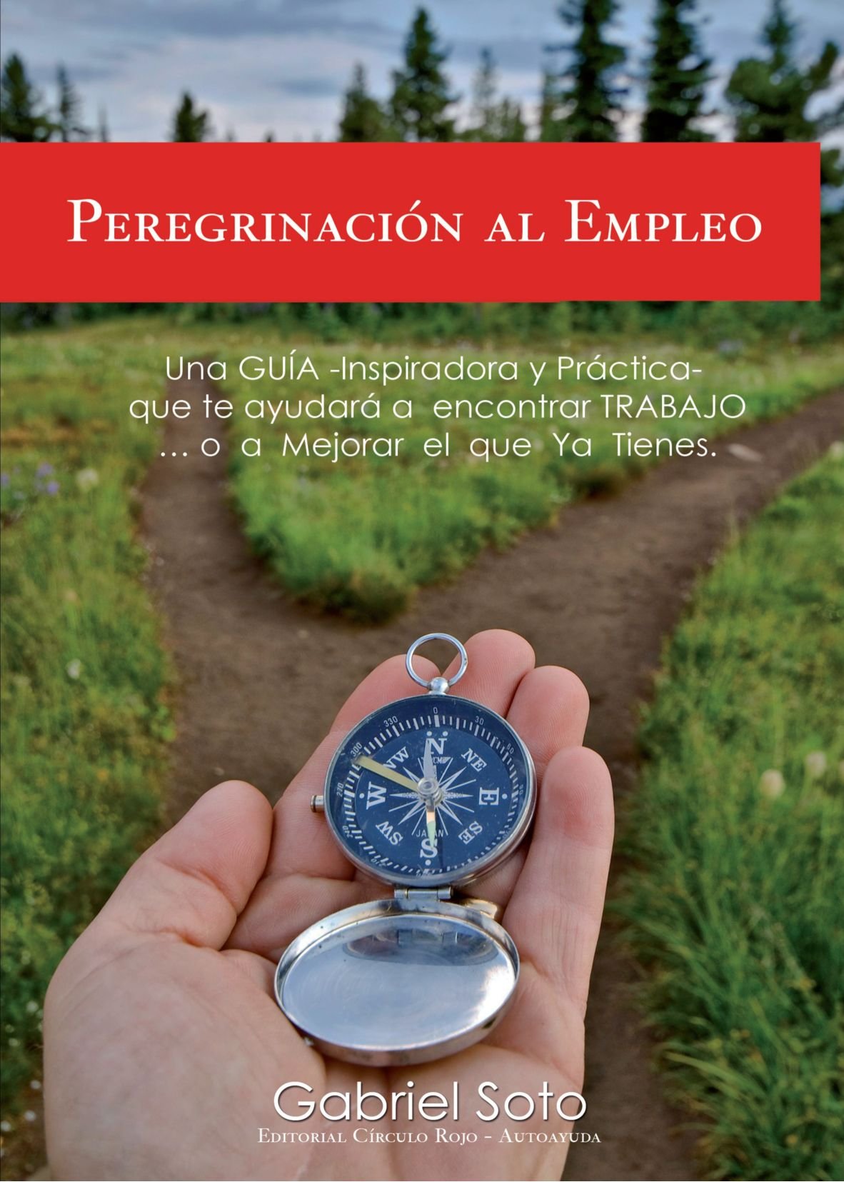 Peregrinación Al Empleo Contemporary literature