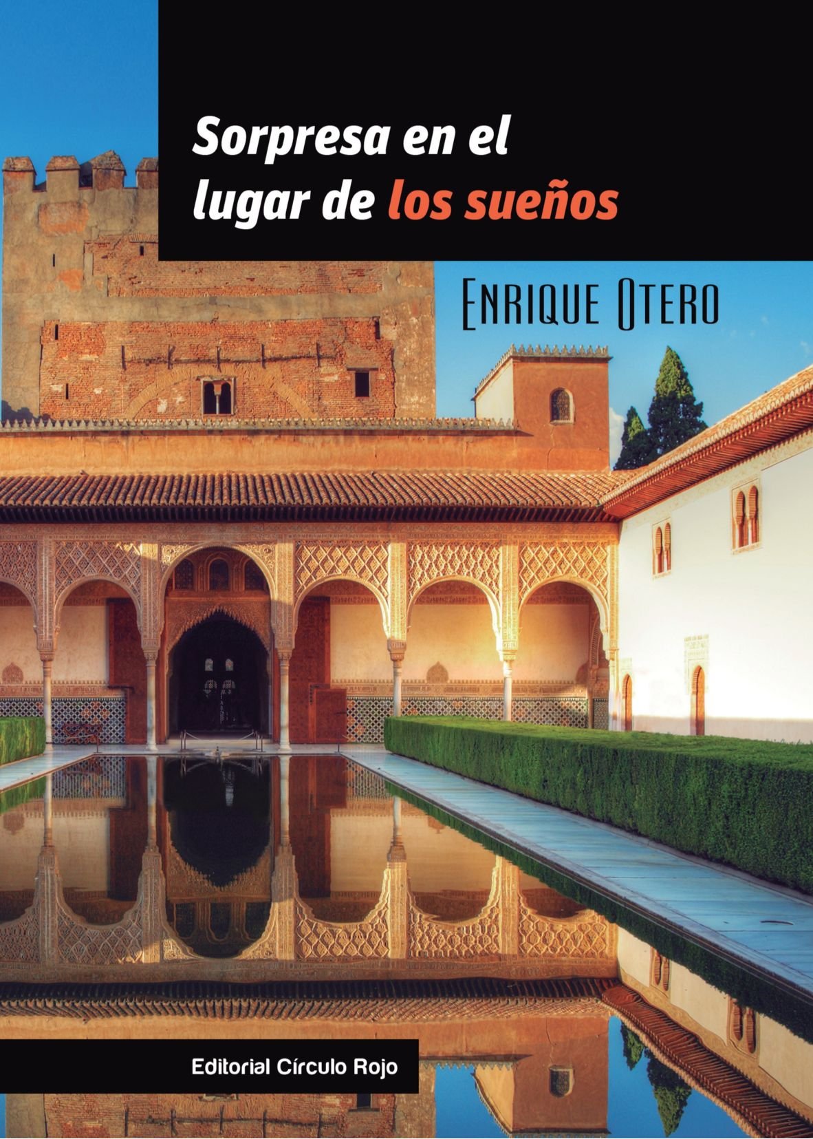 Sorpresa en el Lugar de los Sueños Contemporary literature