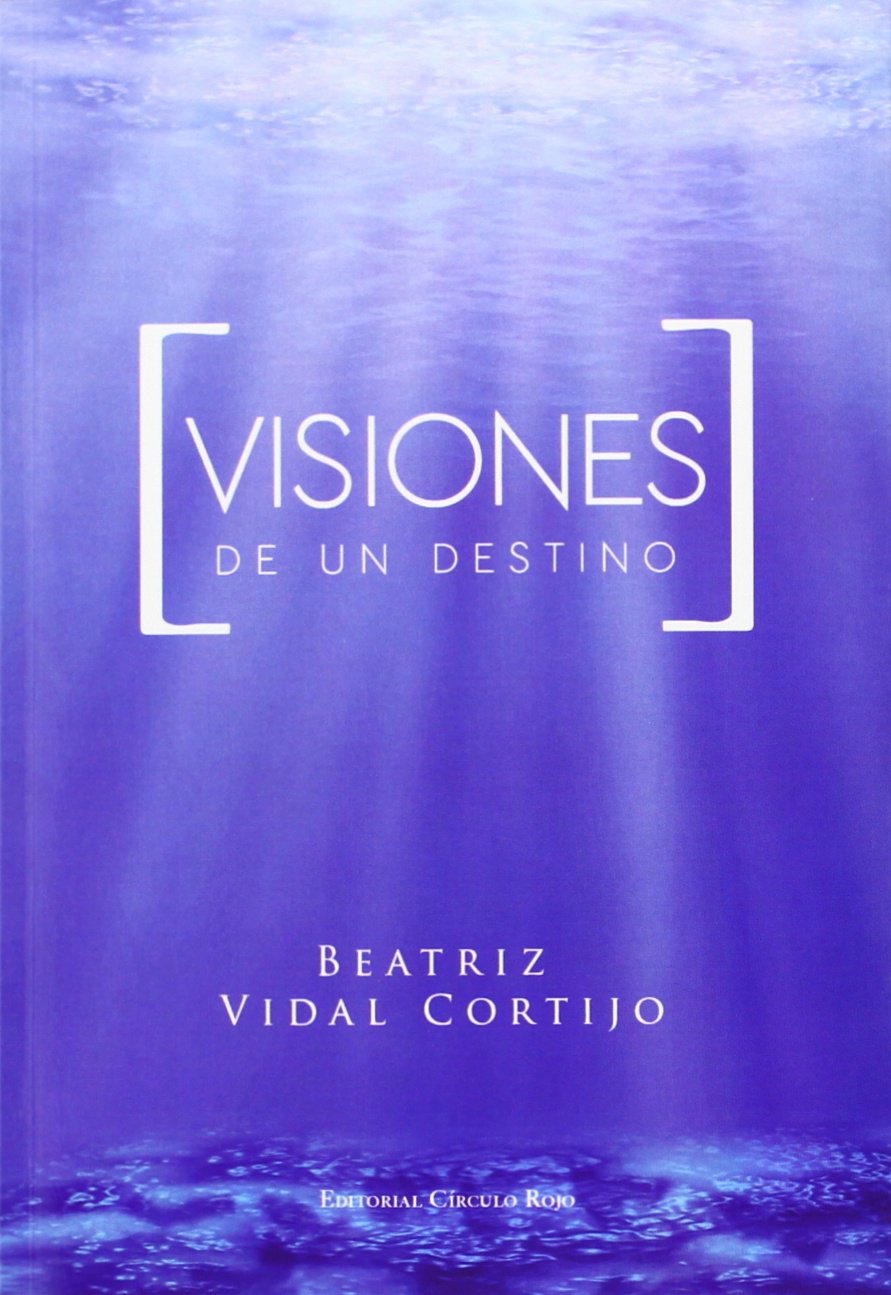 Visiones de un destino book