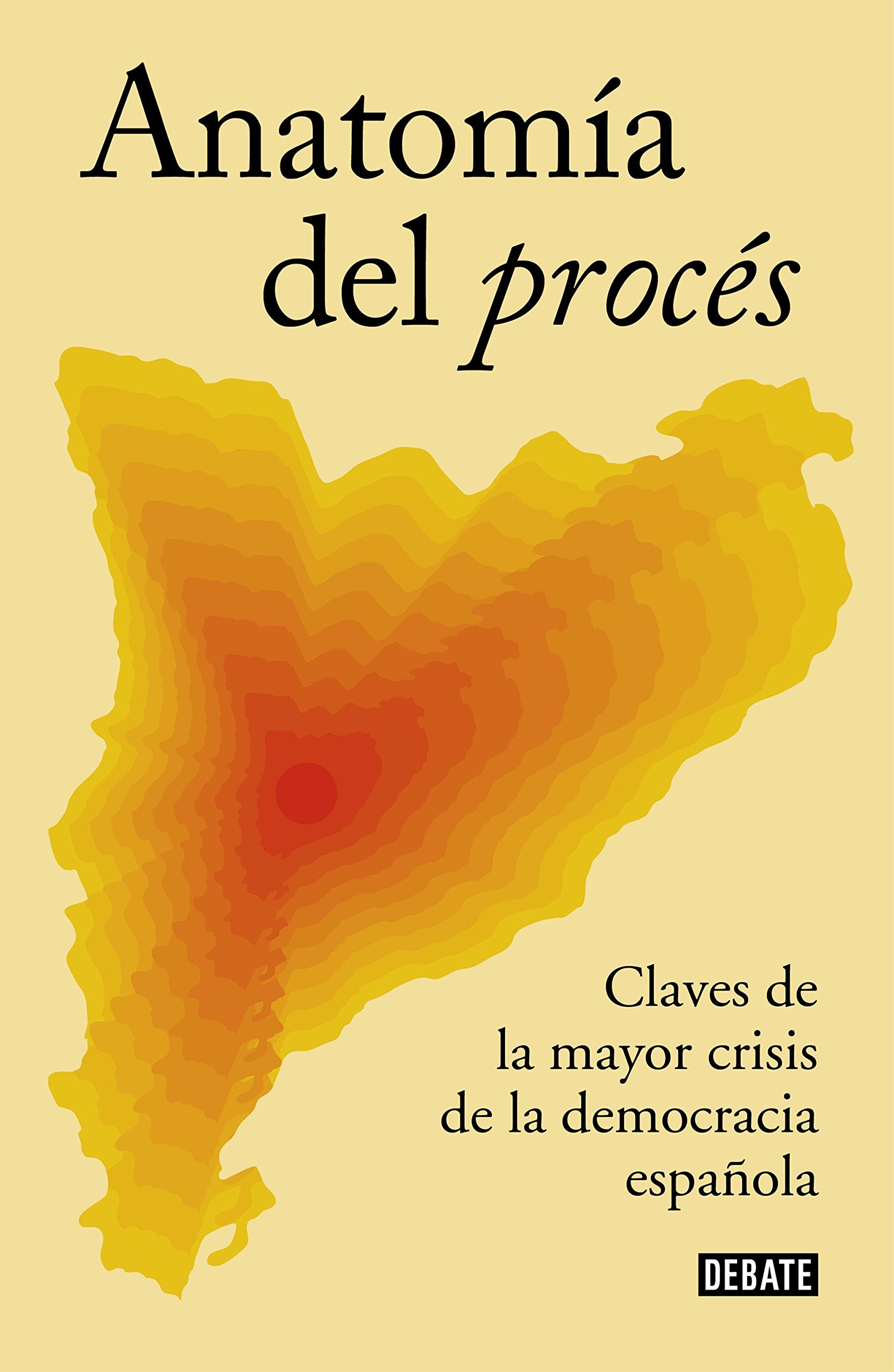 Anatomía del procés: Claves de la mayor crisis de la democracia española book