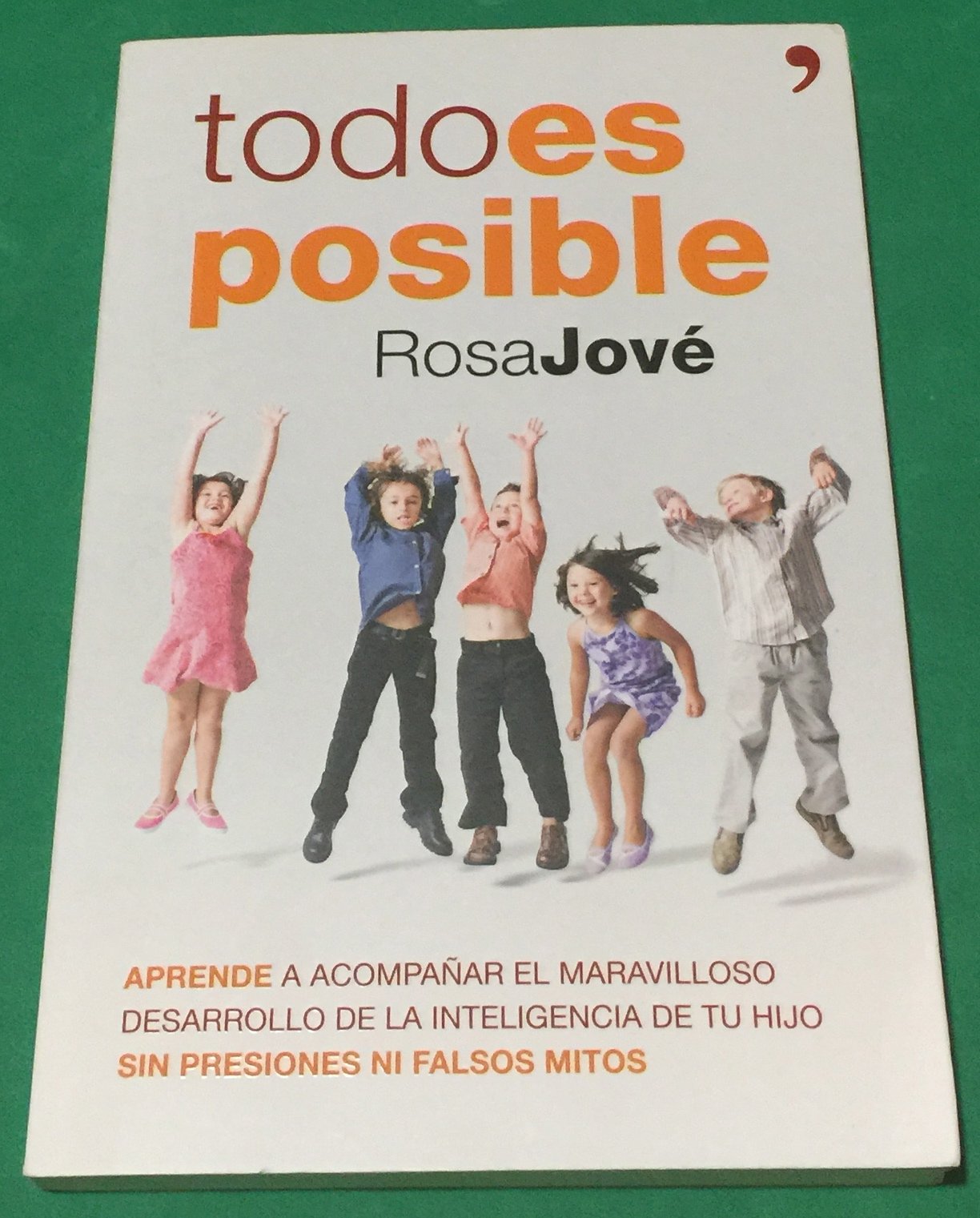 Todo es posible: Aprende a acompañar el maravilloso desarrollo de la inteligencia de tu hijo sin presiones ni falsos mitos book