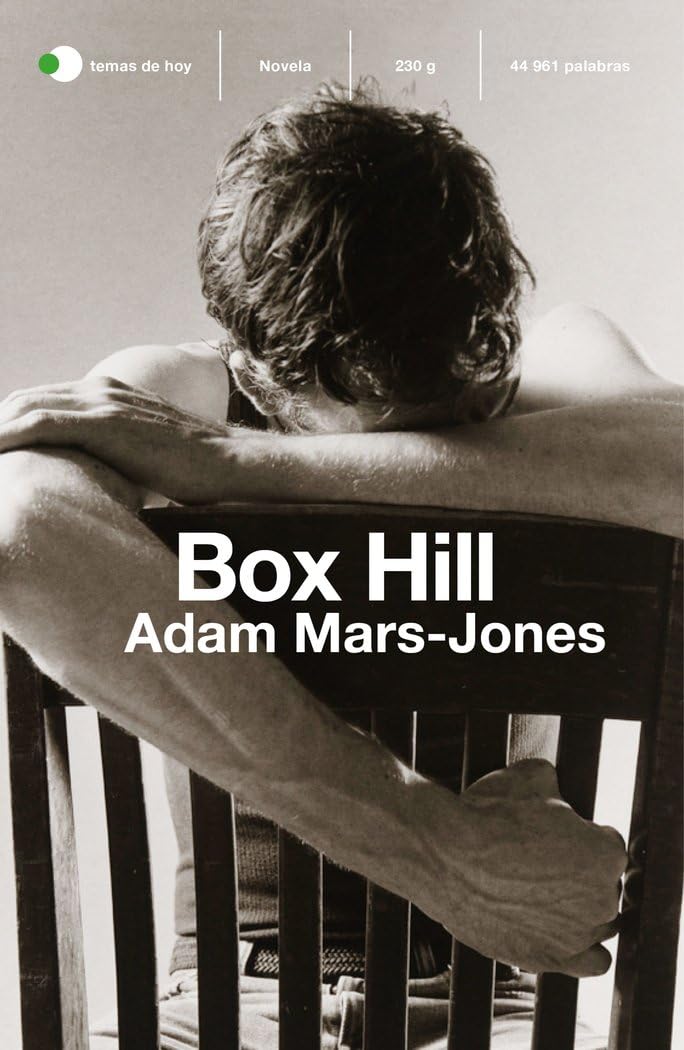Box Hill: Premio Fitzcarraldo de Novela 2019 book