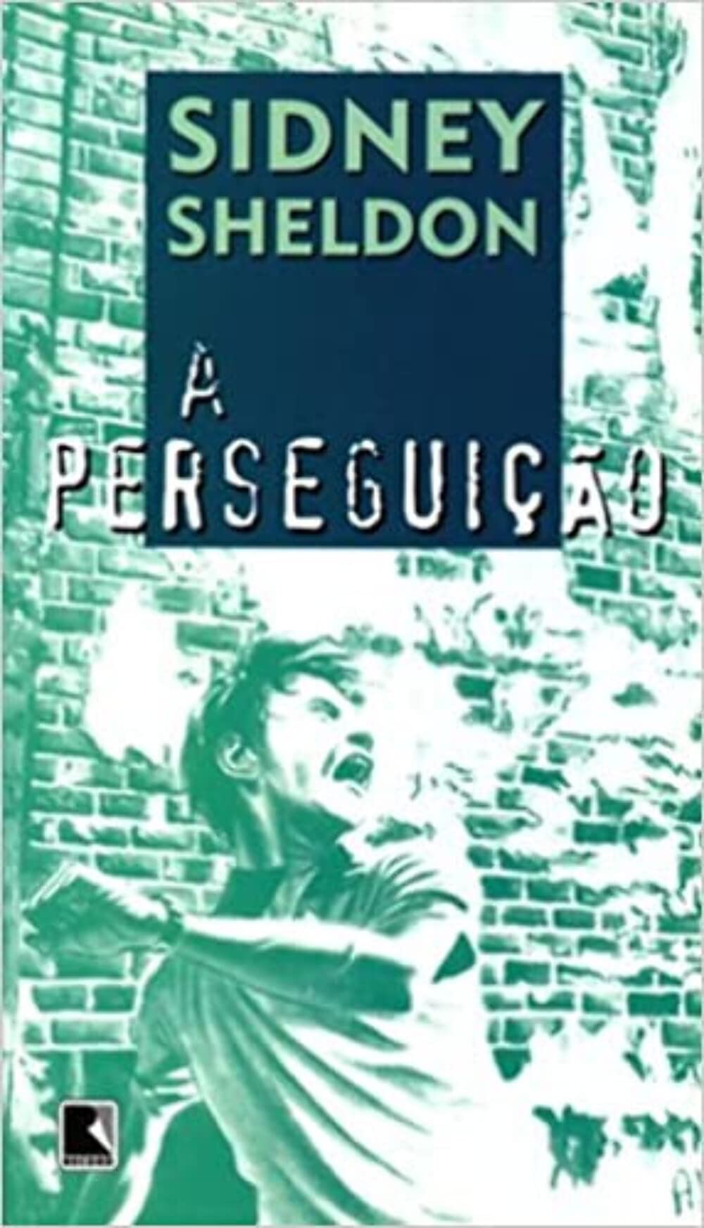 A Perseguição (Em Portuguese do Brasil) book