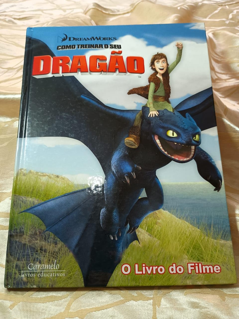 Como Treinar O Seu Dragão. Livro Do Filme (Em Portuguese do Brasil) Books