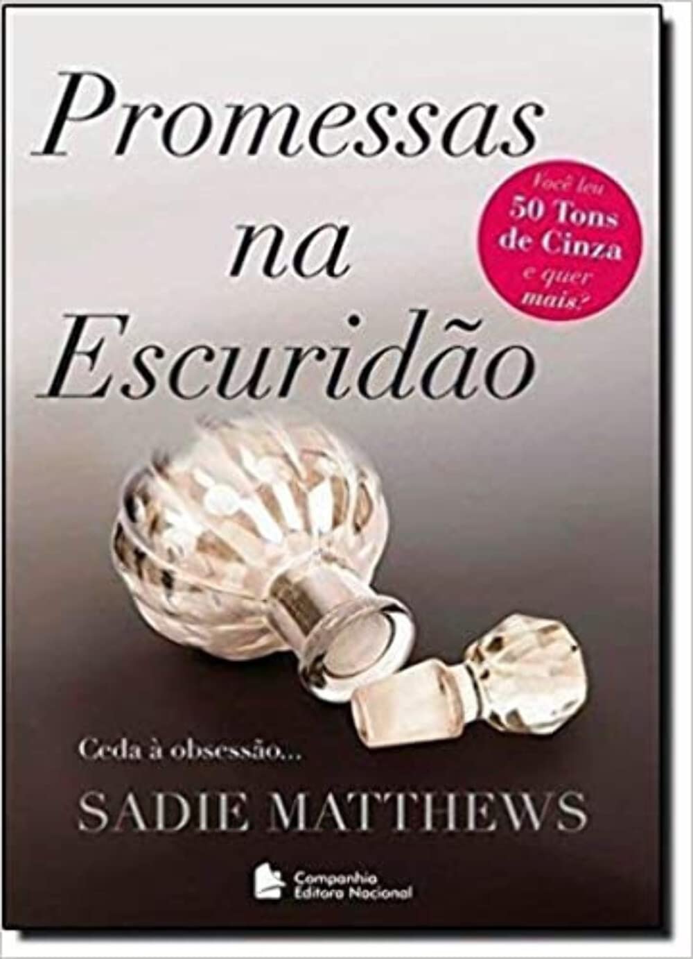Promessas Na Escuridão (Em Portuguese do Brasil) book