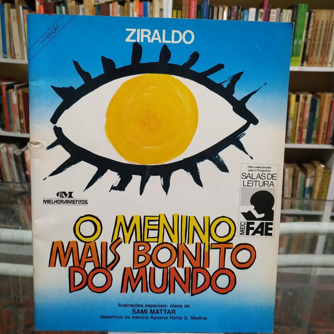 O Menino Mais Bonito Do Mundo (Em Portuguese do Brasil) book