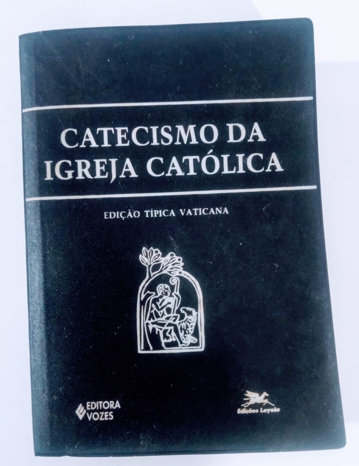 Catecismo da Igreja Católica (Em Portuguese do Brasil) Books