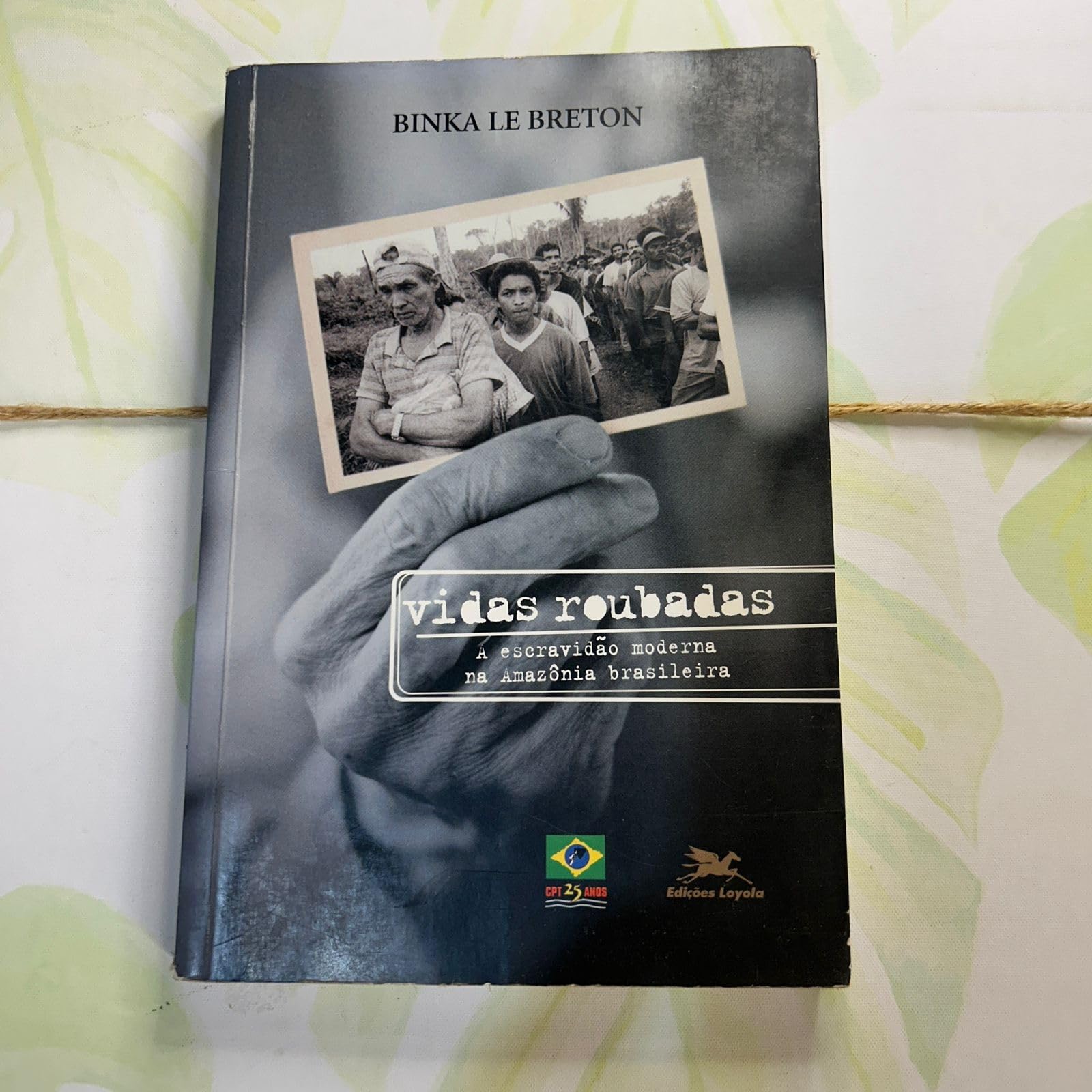 Vidas Roubadas. A Escravidao Moderna Na Amazônia Brasileira (Em Portuguese do Brasil) Books