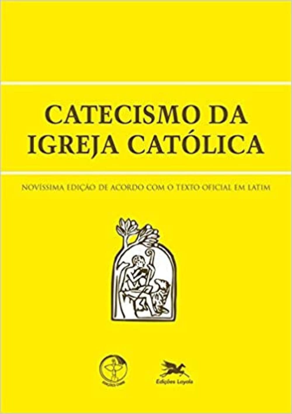 Catecismo da Igreja Católica (Em Portuguese do Brasil) Books