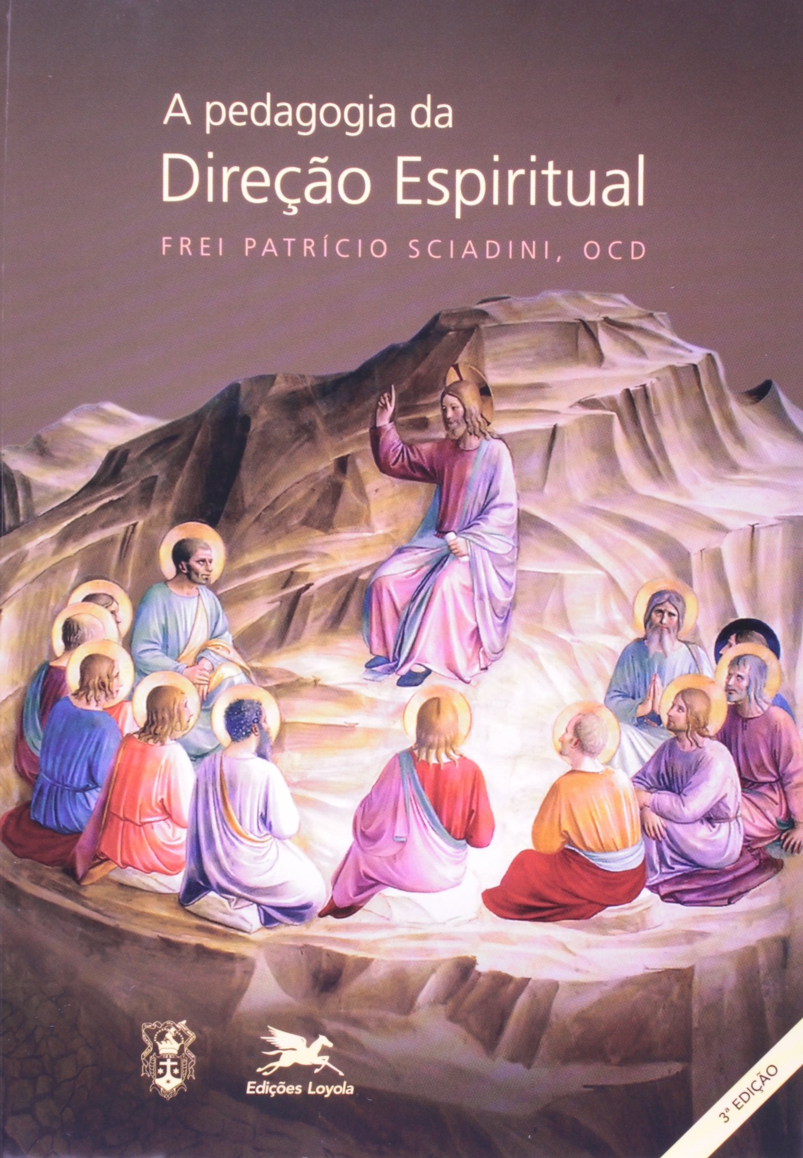 A Pedagogia Da Direção Espiritual (Em Portuguese do Brasil) Books