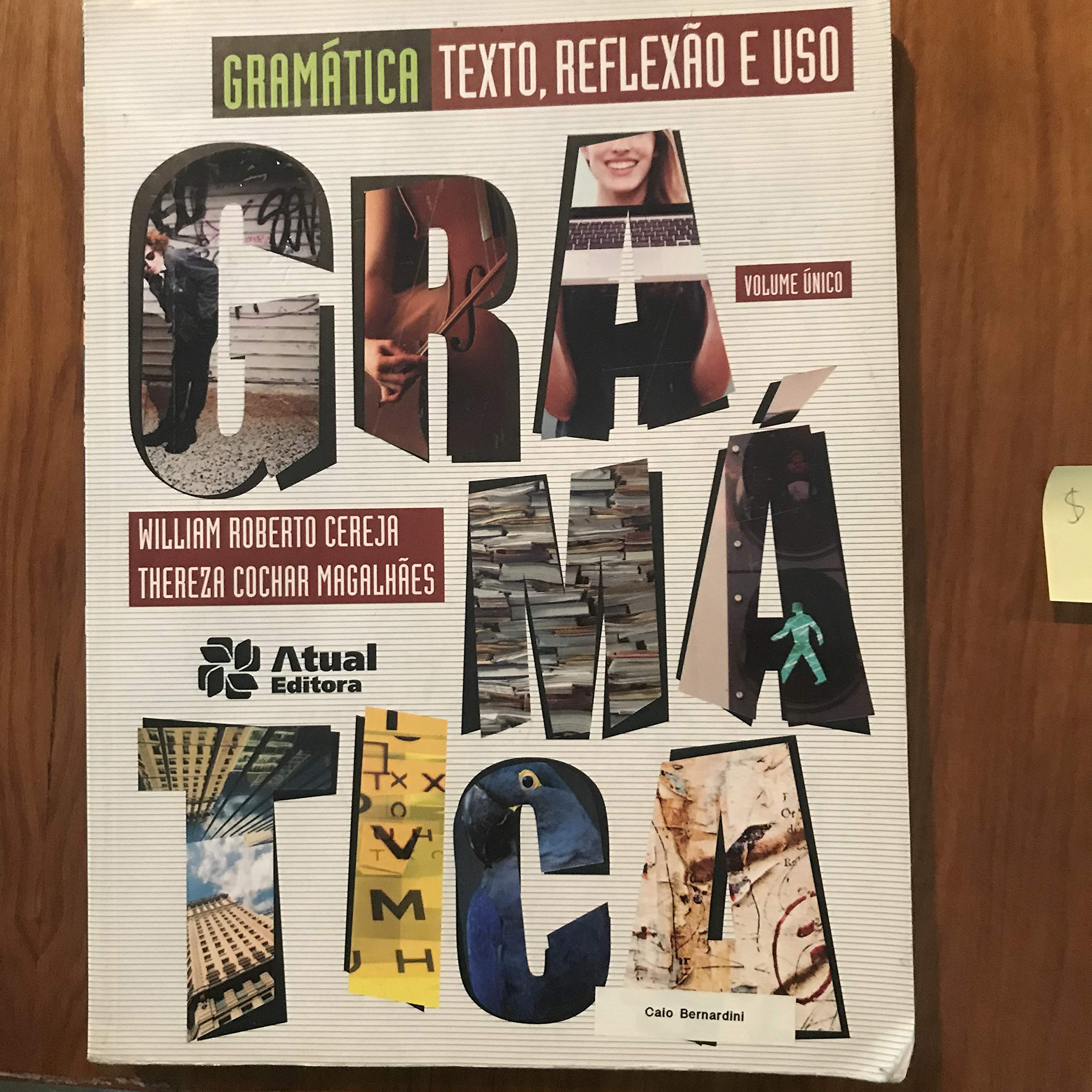 Filosofando Introdução à Filosofia (Em Portuguese do Brasil) book
