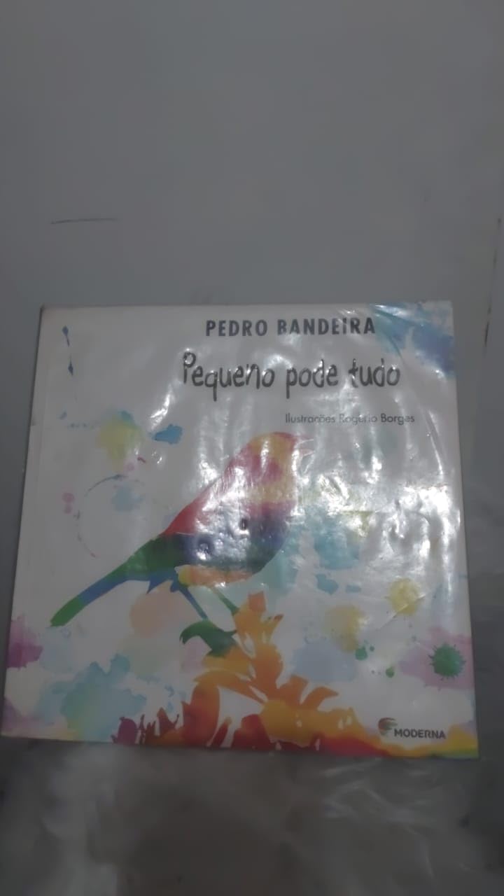 Pequeno Pode Tudo (Em Portuguese do Brasil) book