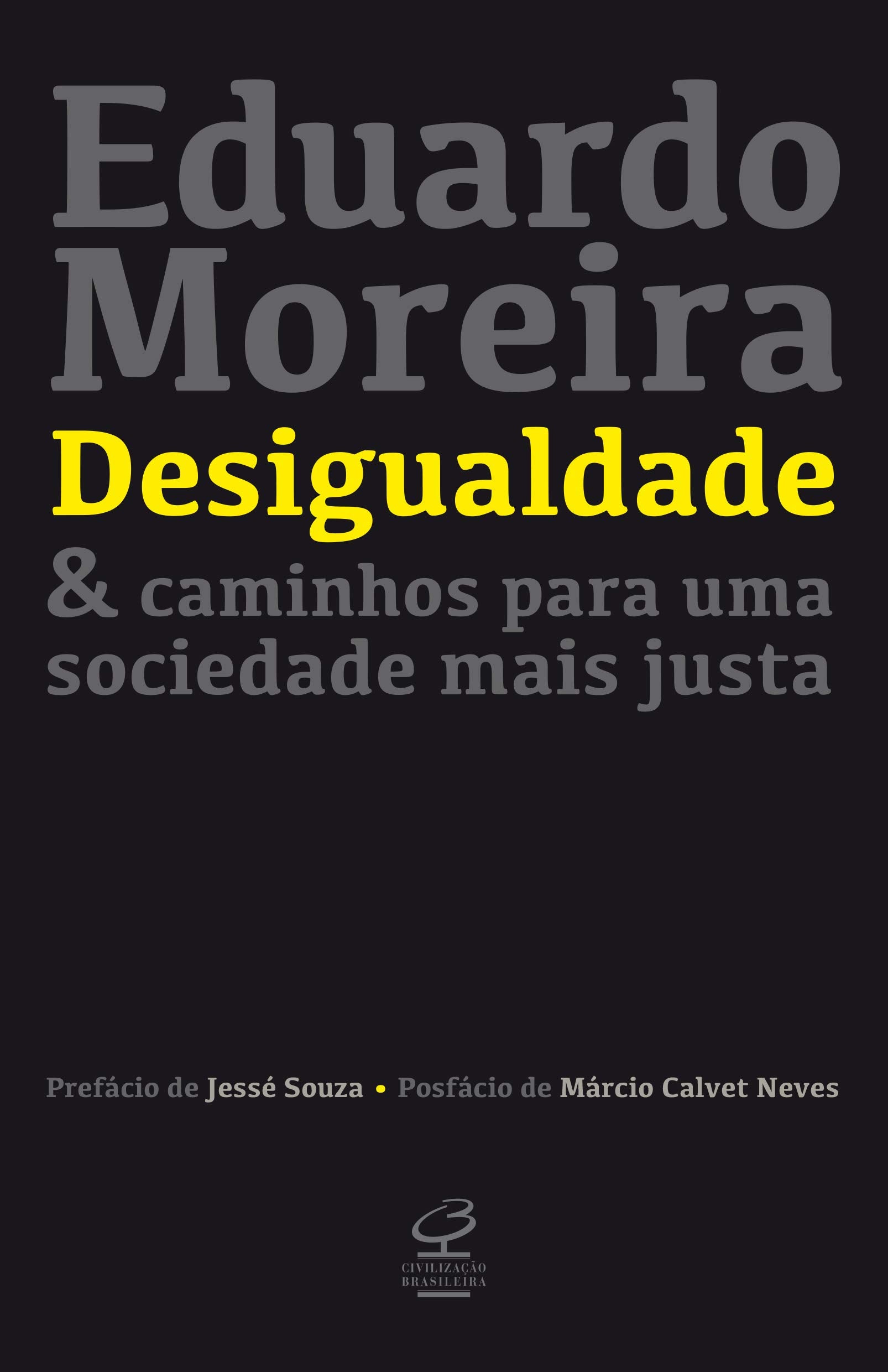 Desigualdade & caminhos para uma sociedade mais justa Books