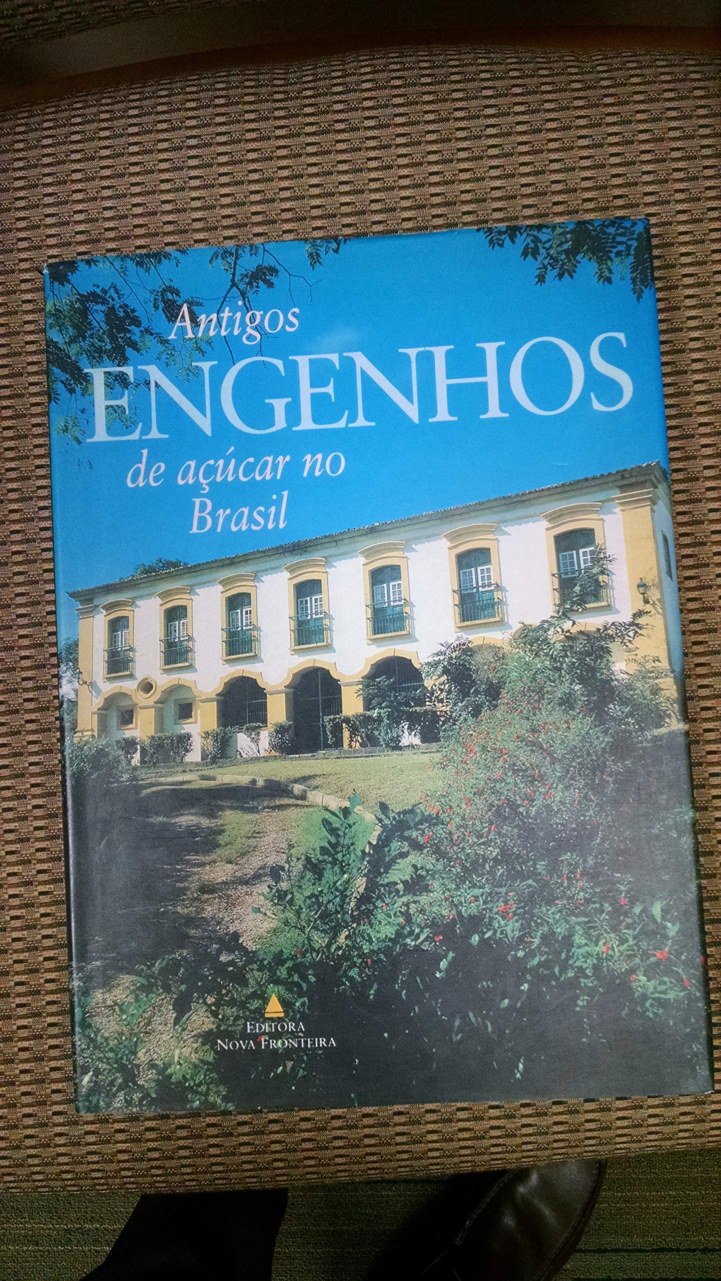 Antigos Engenhos De Açúcar No Brasil (Em Portuguese do Brasil) book