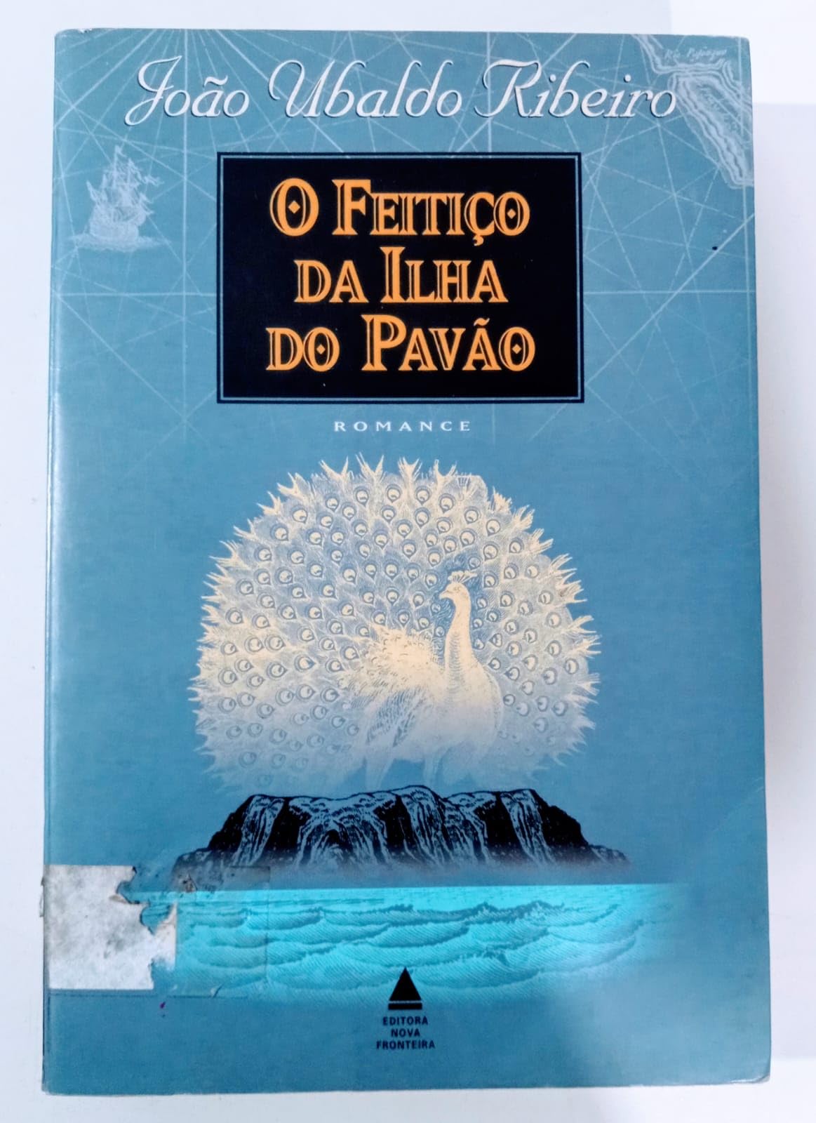 O Feitiço Da Ilha Do Pavão (Em Portuguese do Brasil) Books