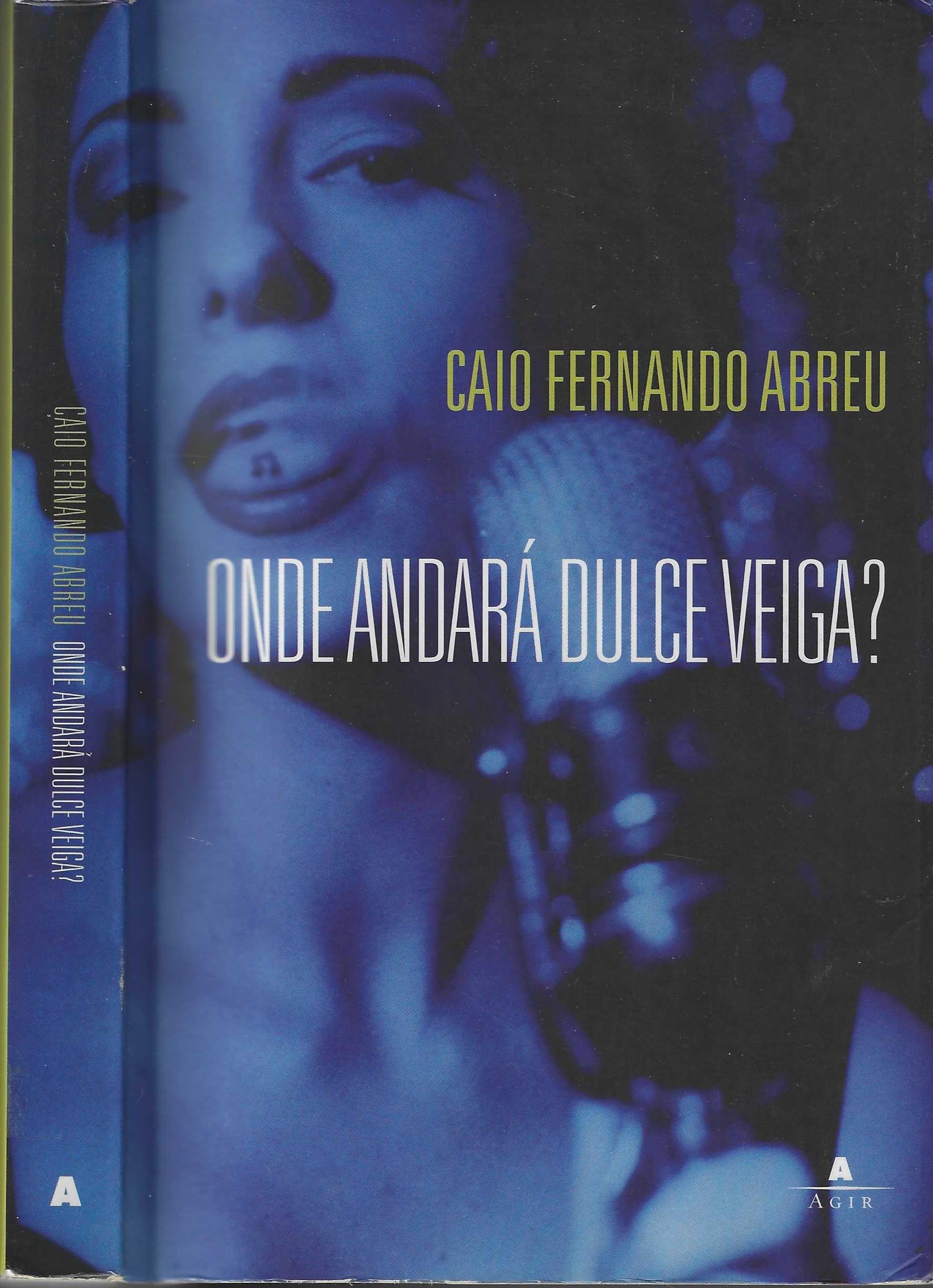 Onde Andará Dulce Veiga ? (Em Portuguese do Brasil) book