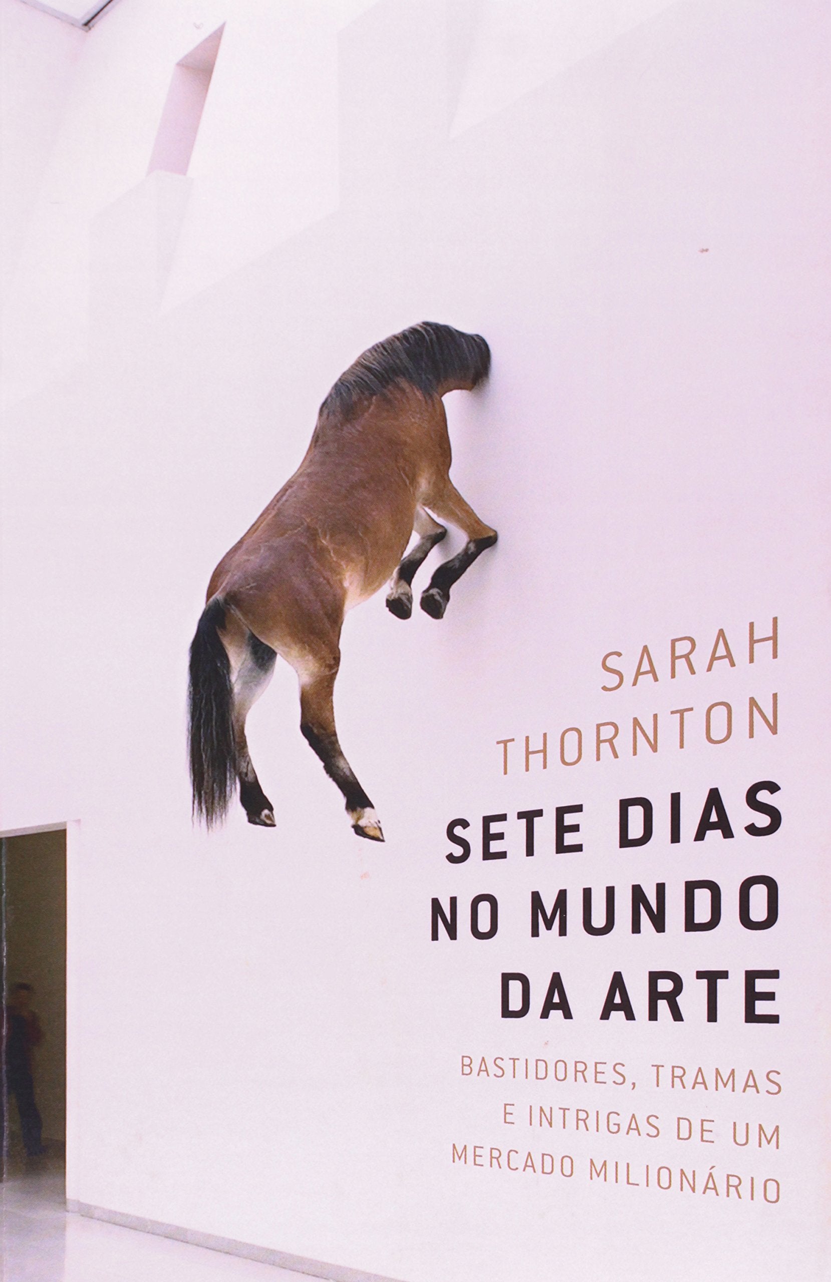 Sete Dias No Mundo Da Arte (Em Portuguese do Brasil) book