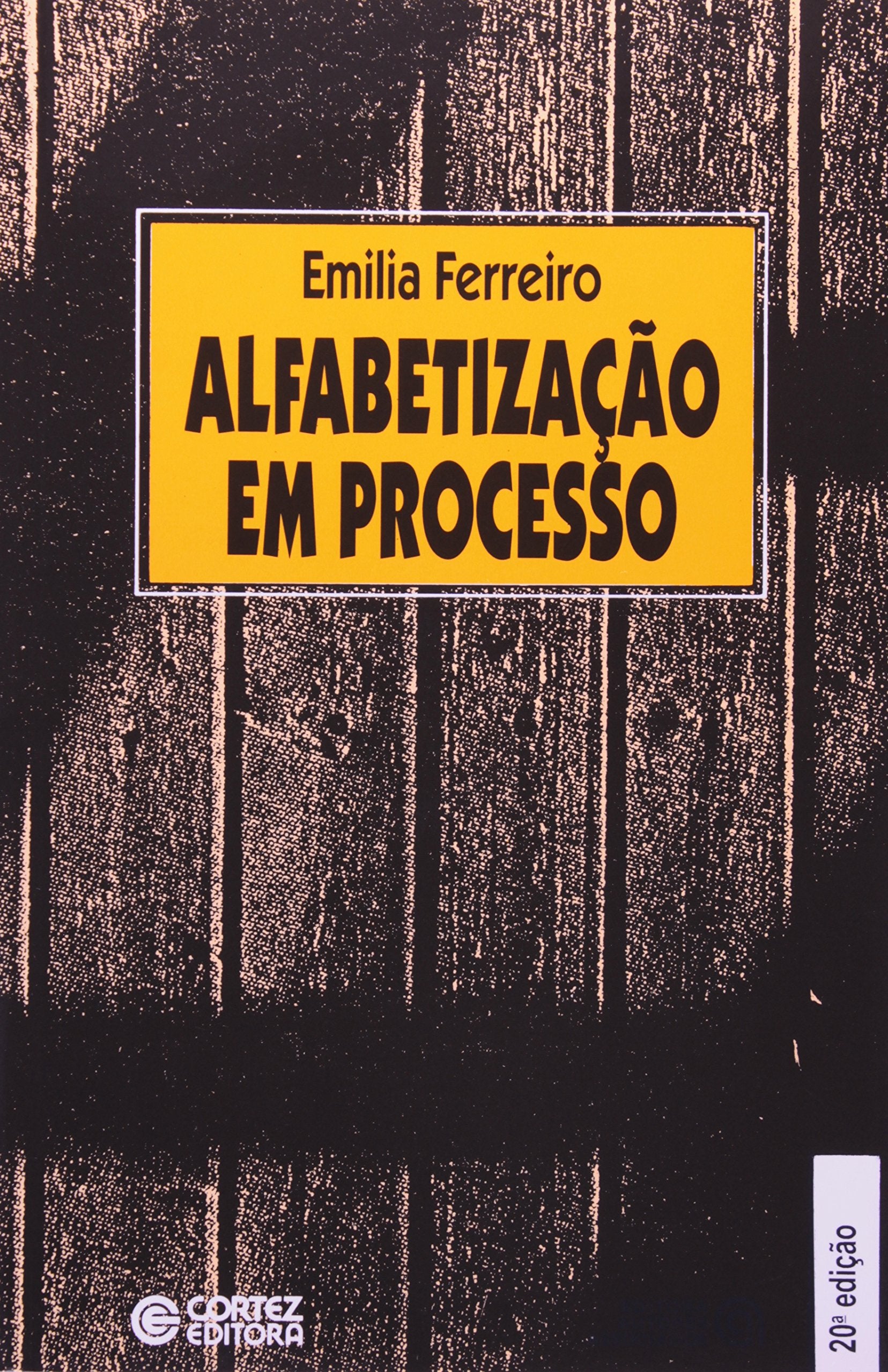 Alfabetização Em Processo (Em Portuguese do Brasil) book