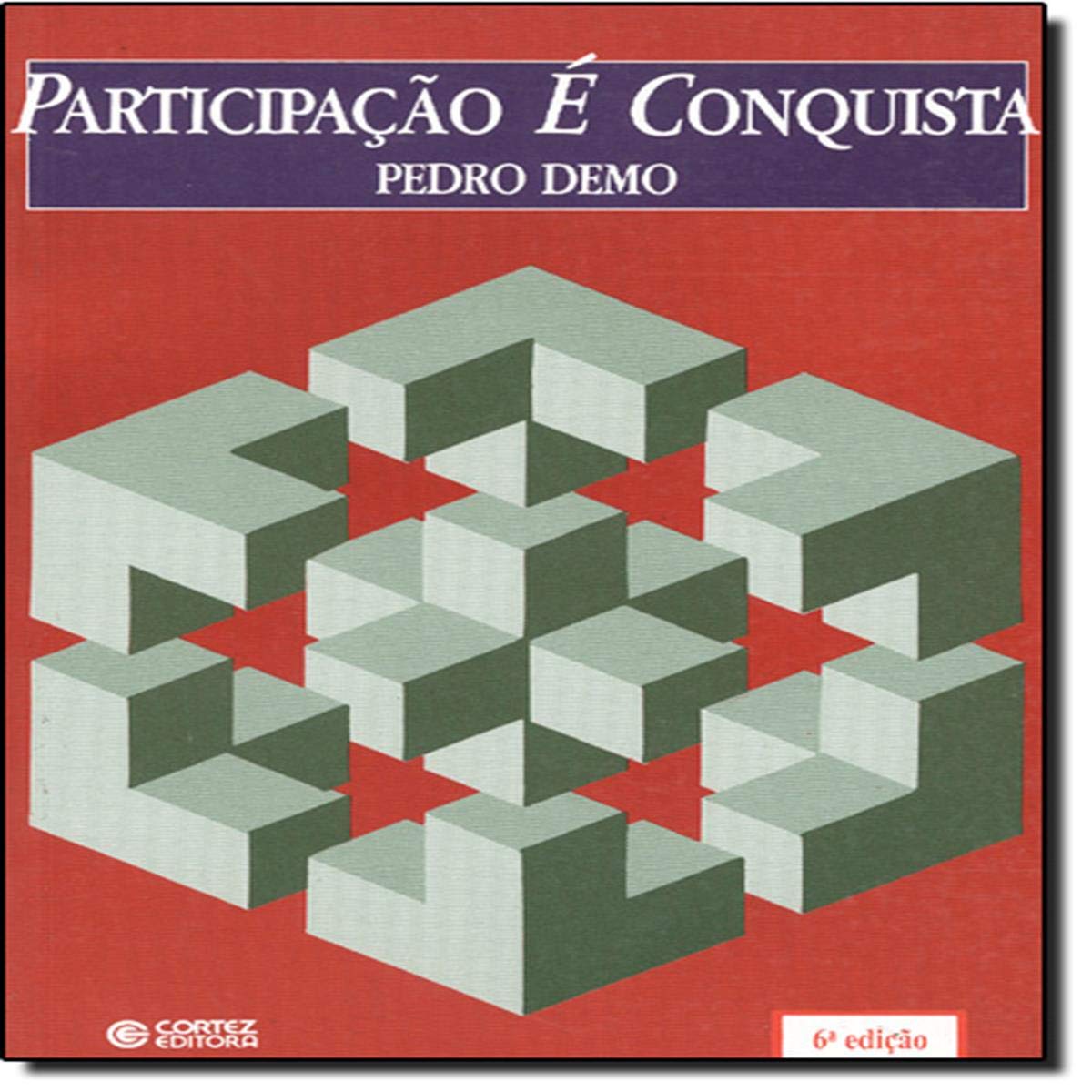 Participação É Conquista Books