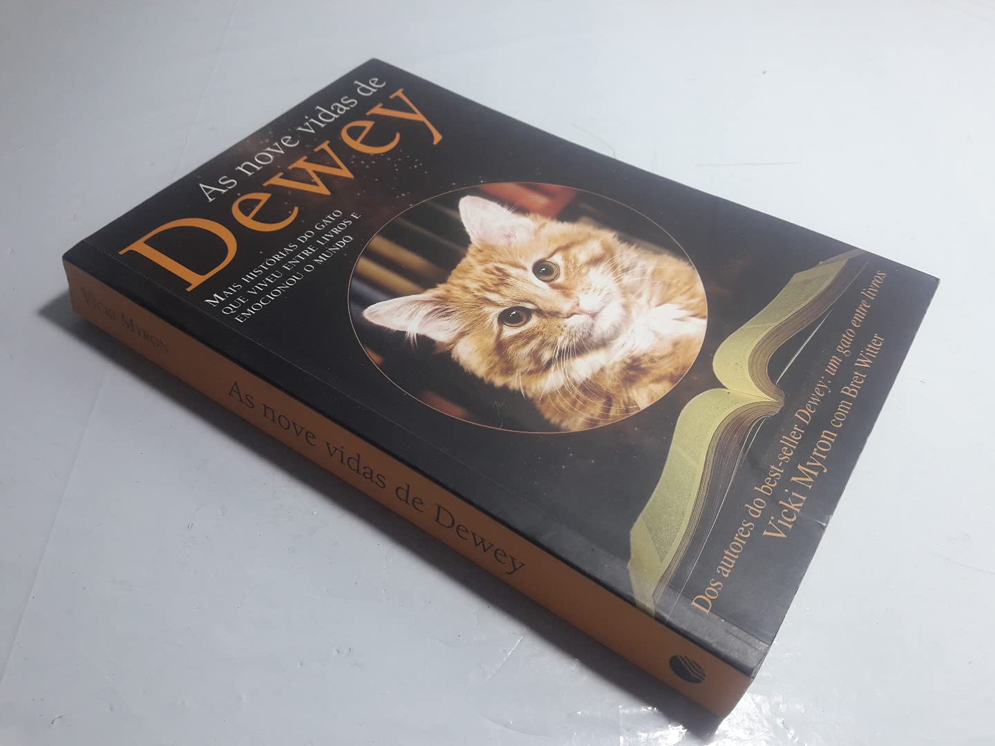 As Nove Vidas De Dewey (Em Portuguese do Brasil) Books